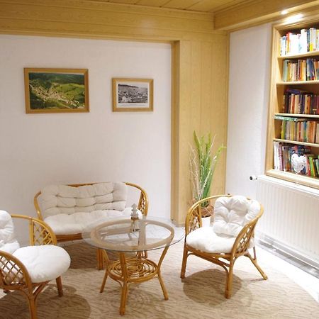 Hotel Gasthof Zum Walfisch Klingenthal Dış mekan fotoğraf