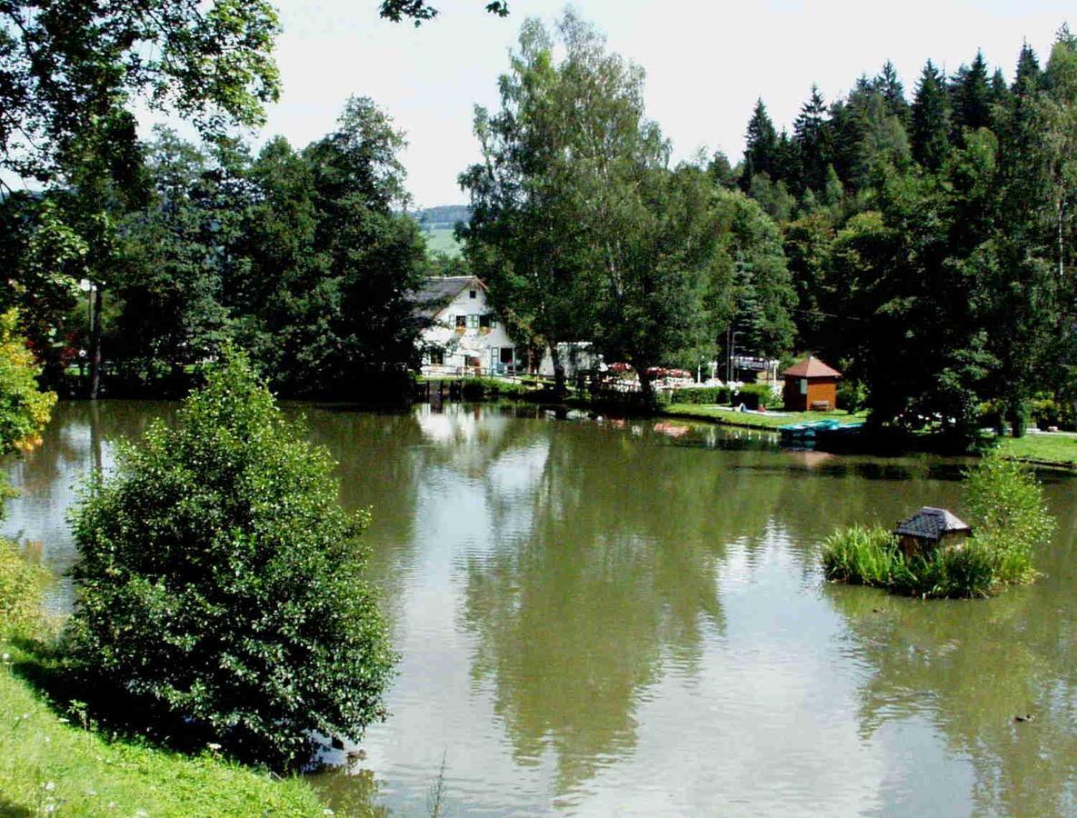 Hotel Gasthof Zum Walfisch Klingenthal Dış mekan fotoğraf