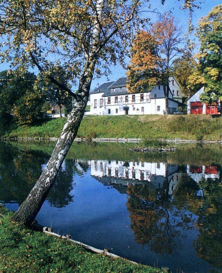 Hotel Gasthof Zum Walfisch Klingenthal Dış mekan fotoğraf