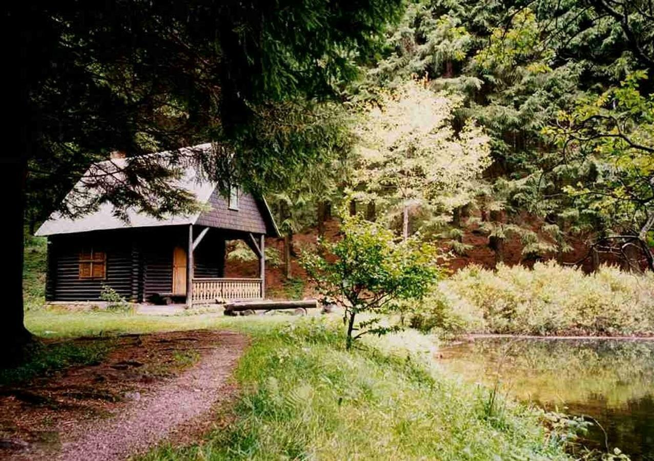 Hotel Gasthof Zum Walfisch Klingenthal Dış mekan fotoğraf